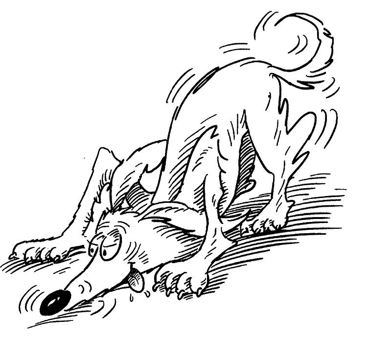 Wesoły Pies - Kolorowanka do Druku dla Dzieci kolorowanka do druku